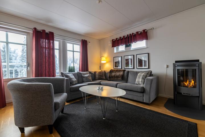 Hundfjället - JOÄNGETS FJÄLLGÅRD 4D - 3 soveværelser, 8 senge, 85m2 – Joängets Fjällgård