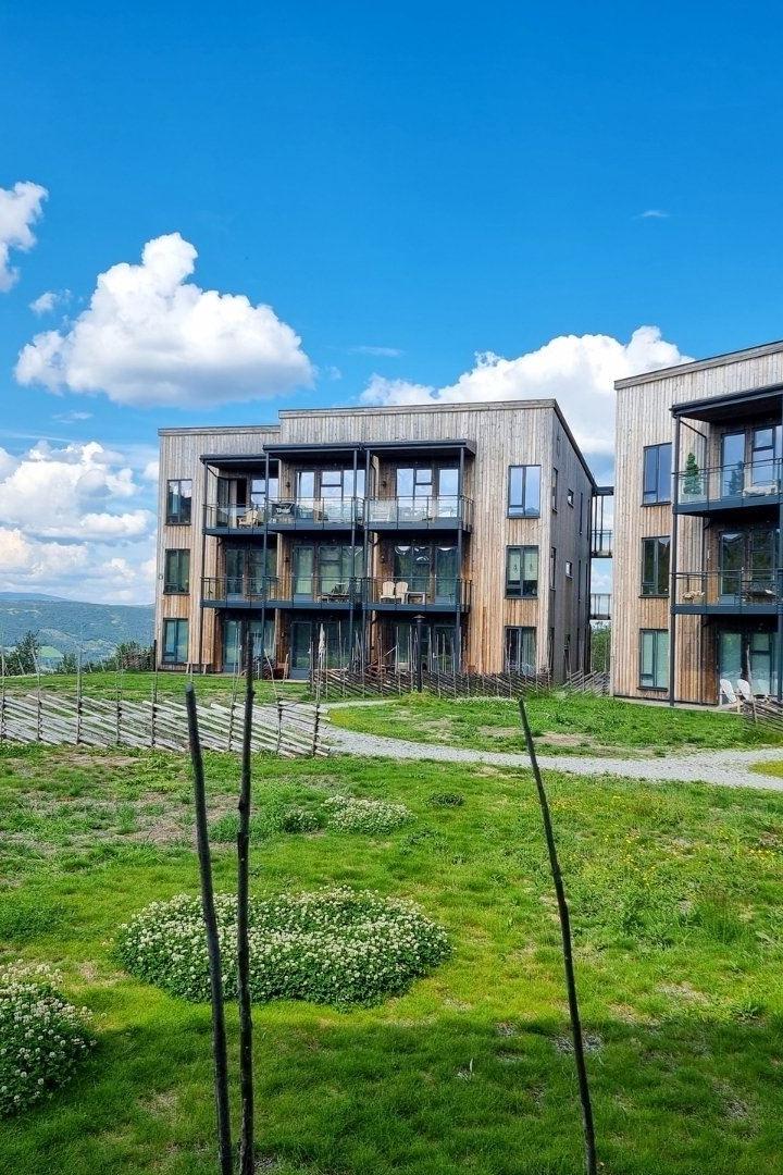 Geilotjødnvegen 12 - Leil. 303 (Stavisetten) – SkiGeilo Hospitality