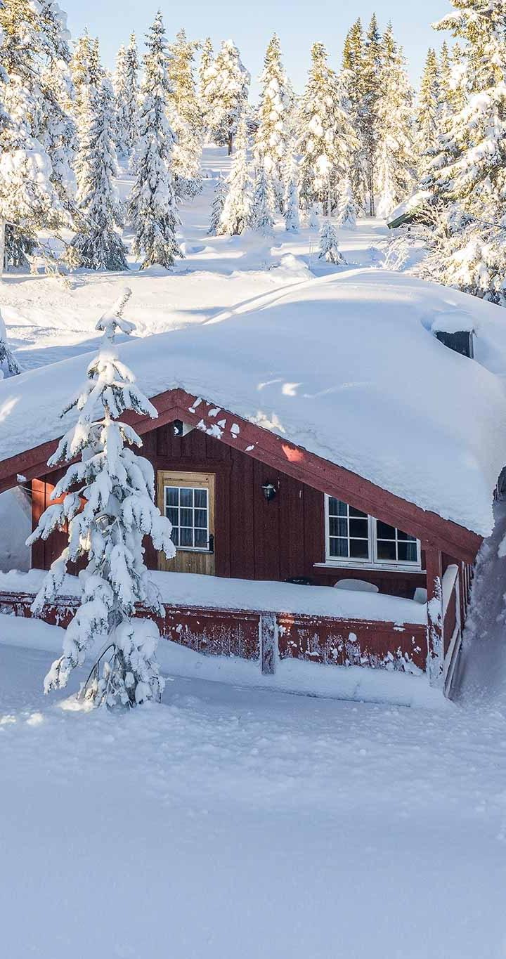 Fageråsen Hytteområde - FAGERÅSEN HYTTEOMRÅDE 109B - 3 soveværelser, 8 senge, 72m2 – Fageråsen Hytteområde