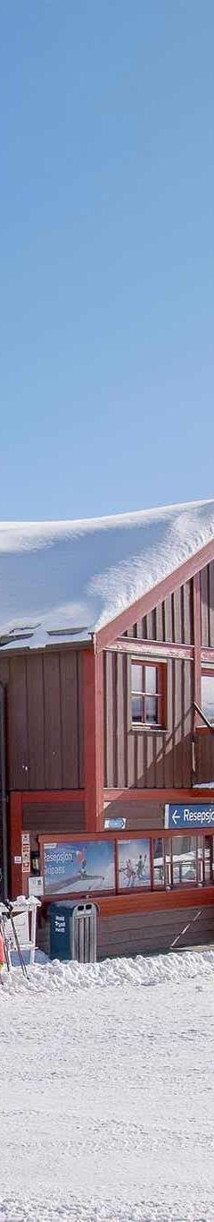 Høyfjellssenteret – FJELLRO 20 – 1 soveværelser, 4 senge, 27m2 – Fjellro