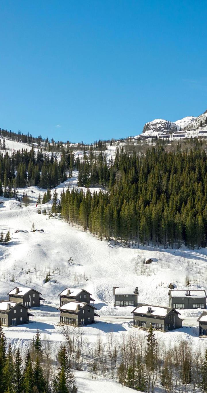 Hemsedal Skisenter - RÅDYRLIA 7 - 5 soveværelser, 12 senge, 144m2 – Rådyrlia Hyttegrend