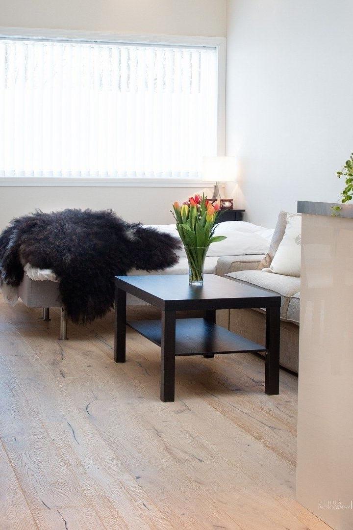 Studiolejlighed – Ustedalen Hotel og Resort