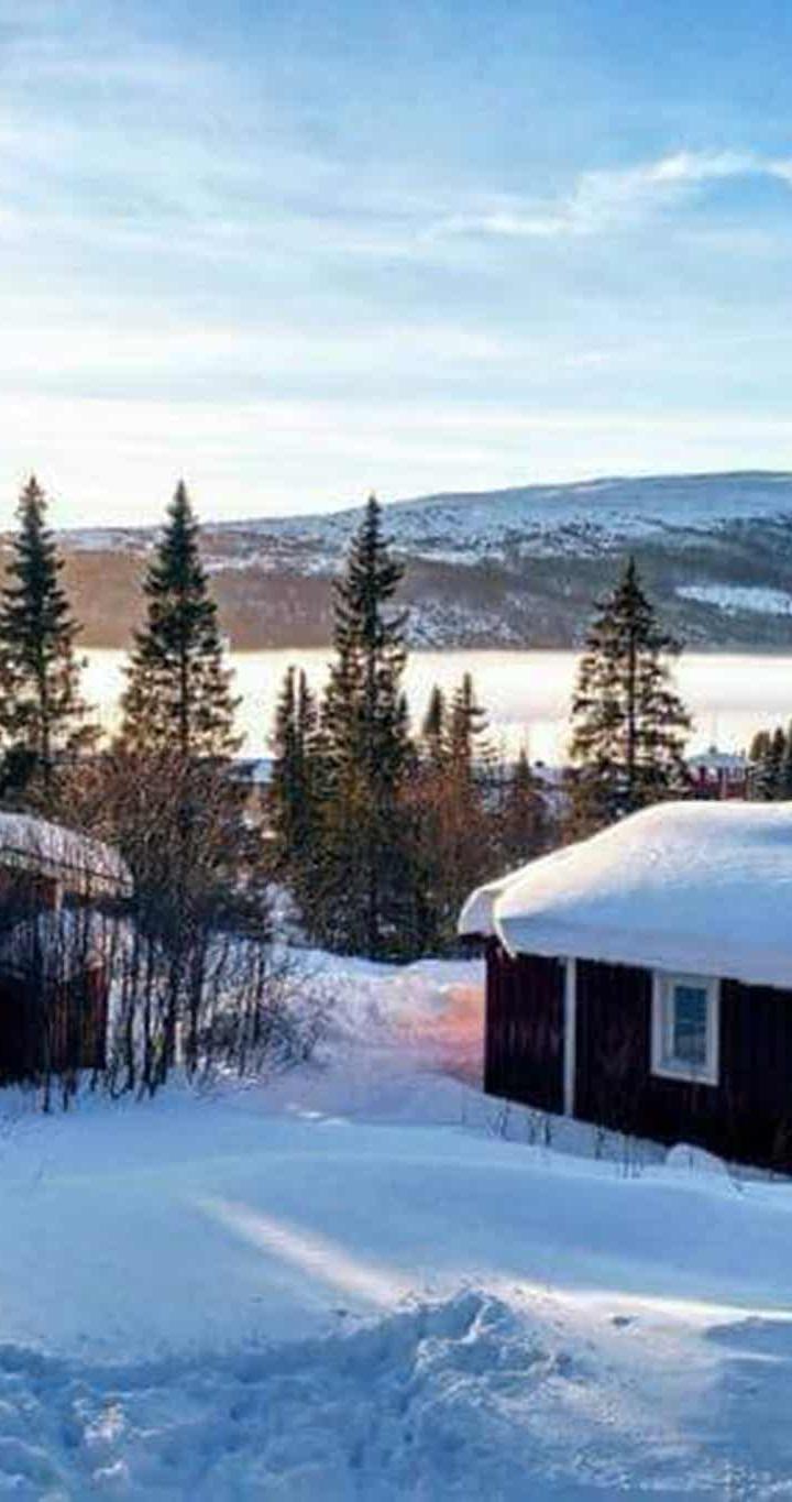 Björnen – Järven 22A – 2 soveværelser, 3 senge, 30m2 – Järven