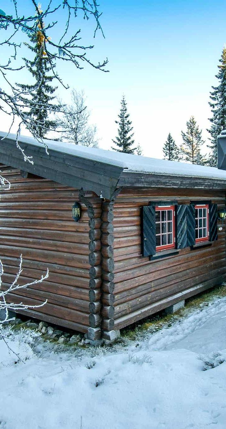 Trysilfjell Hytteområde – Trysilfjell Hytteområde 107 – 3 soveværelser, 6 senge, 61m2 – Hytter Trysilfjellet Sør