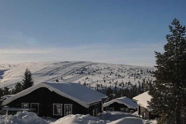 Högfjället – FJÄLLRIPAN 5 D – 0 soveværelser, 4 senge, 42m2 – Högfjällsbyn (1/11)