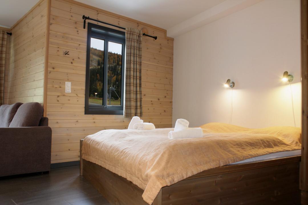 Hemsedal Skisenter - SKISTAR LODGE ALPIN STUDIO 317 SKI VIEW - 0 soveværelser, 2 senge, 28m2 – SkiStar Lodge Alpin