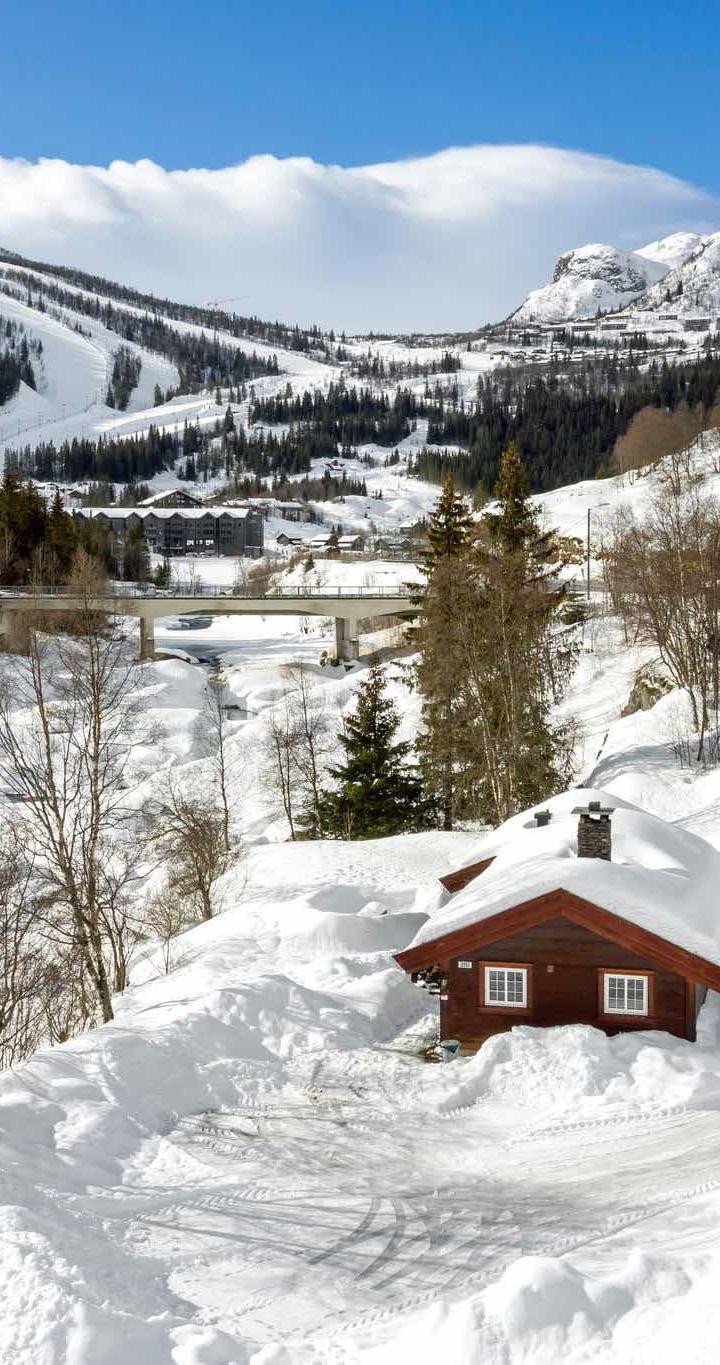 Hemsedal Skisenter - HAGABU - 3 sovrum, 8 bäddar, 80m2 – Hemsedal Ski Centre stugor