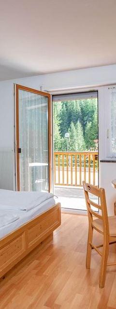 Panorama studiolejlighed med balkon (udsigt mod bjergene) max 4 pers. – Garni Aparthotel Princess (Penia)