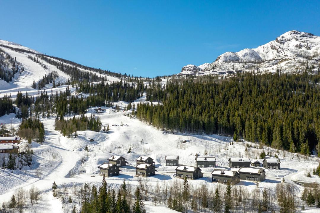 Hemsedal Skisenter - RÅDYRLIA 11 - 4 soveværelser, 9 senge, 130m2 – Rådyrlia Hyttegrend