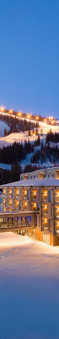 Hemsedal Skisenter – SKISTAR LODGE SUITES HOTEL 1110 SKI VIEW – 0 soveværelser, 2 senge, 40m2 – SkiStar Lodge Hemsedal Hotel Mountain View