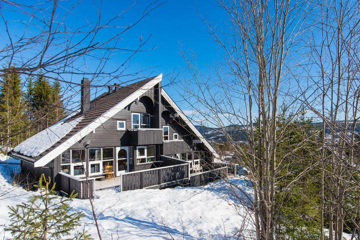 Turistsenteret - TRYSIL ALPIN 22B - 3 soveværelser, 8 senge, 81m2 – Trysil Alpin