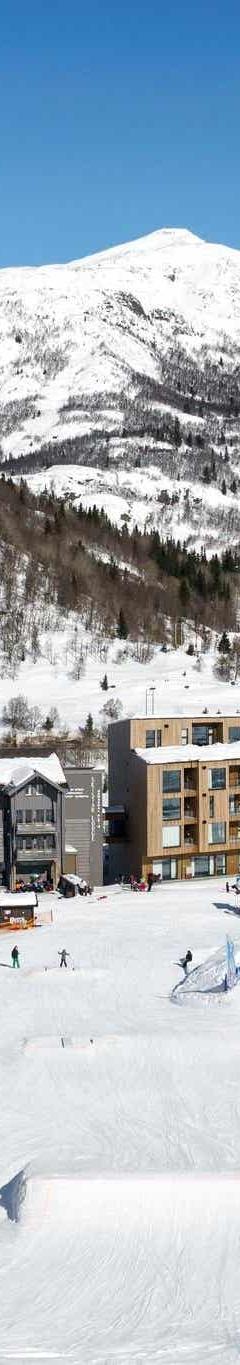 Hemsedal Skisenter – SKISTAR LODGE ALPIN STUDIO 217 SKI VIEW – 0 soveværelser, 2 senge, 28m2 – SkiStar Lodge Hemsedal Studio Mountain View