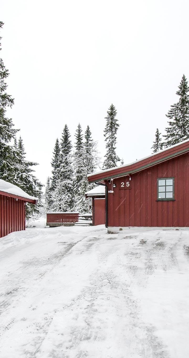 Fageråsen Hytteområde - FAGERÅSEN HYTTEOMRÅDE 25 - 6 soveværelser, 12 senge, 112m2 – Fageråsen Hytteområde