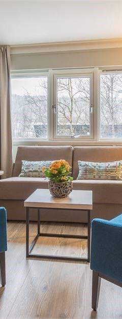 Juniorsuite med sauna – Beito Resort Hotel