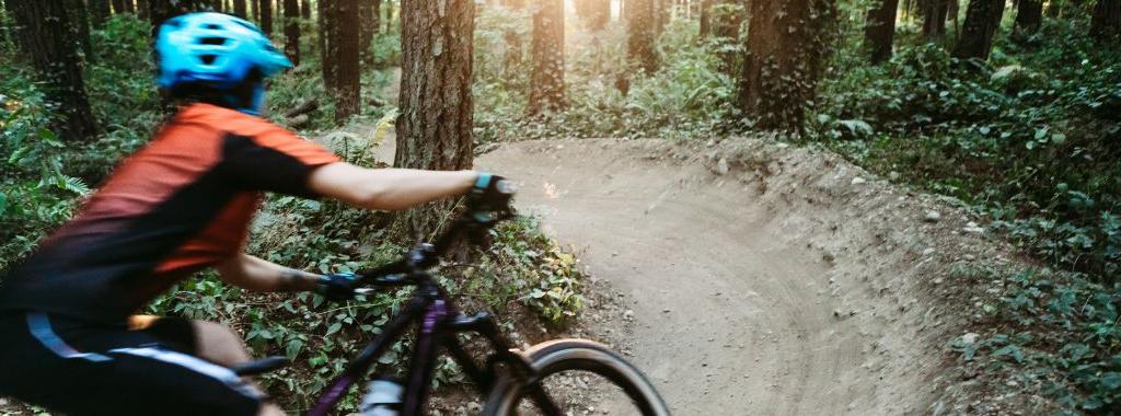 Sommerferie i Østrig - Mountainbiking