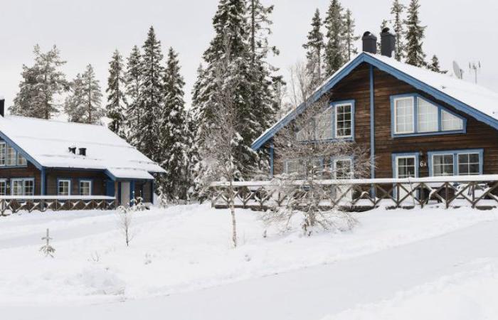 Två blåmålade trästugor ligger omgivna av snö och träd i ett vintrigt landskap - en inbjudande scen för ett skiferie i Sverige, där snön täcker tak, mark och tallar i en fridfull tystnad.