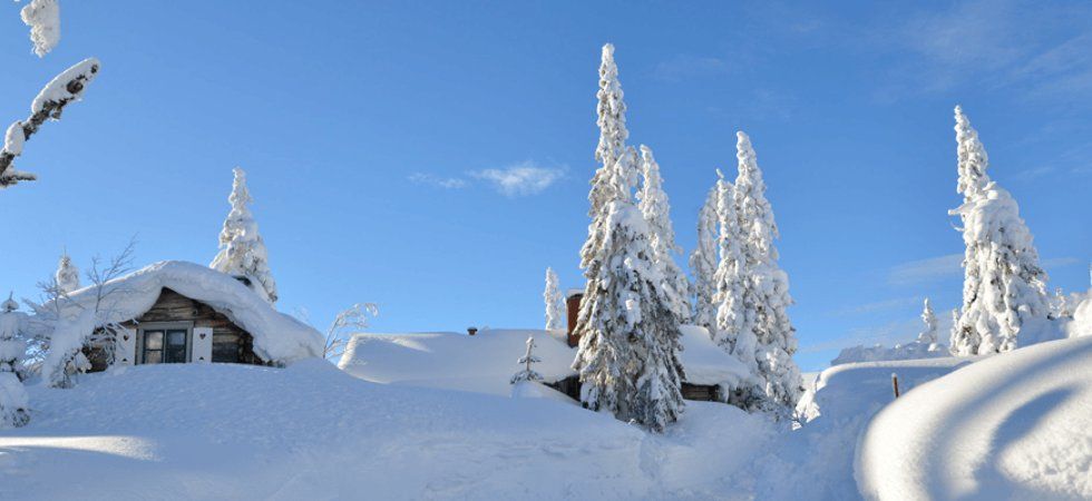 Snötäckta stugor och höga tallar täckta av tjock snö under en klarblå himmel sätter scenen för ett perfekt skiferie i Sverige; en krökt, snöig stig syns till höger i bilden.
