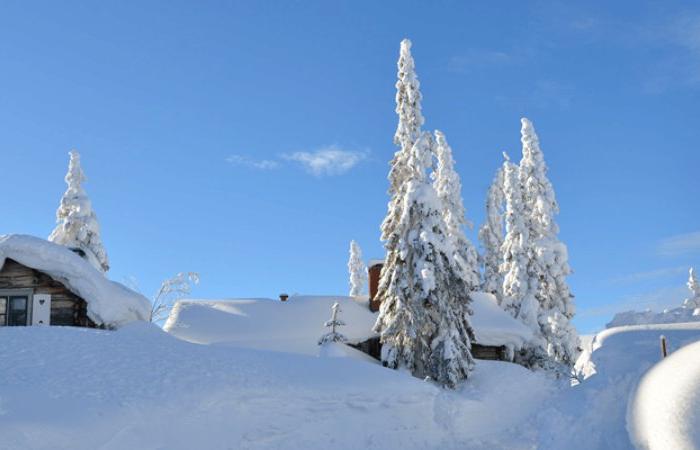 Snötäckta stugor och höga tallar täckta av tjock snö under en klarblå himmel sätter scenen för ett perfekt skiferie i Sverige; en krökt, snöig stig syns till höger i bilden.