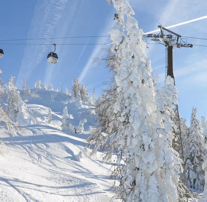 Skiferie i Dorfgastein