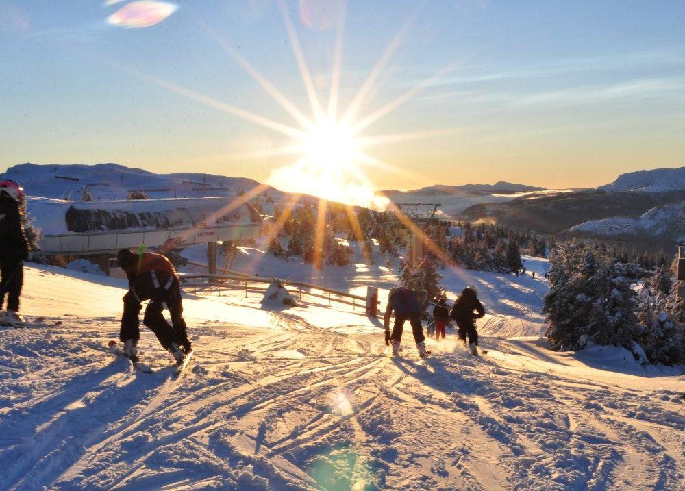 Skidåkare glider nerför en snöig sluttning i Westendorf, under en stark sol som kastar strålar över himlen. Scenen visar snötäckta träd och avlägsna berg under en klarblå vidd, som fångar den perfekta skidferiemiljön.