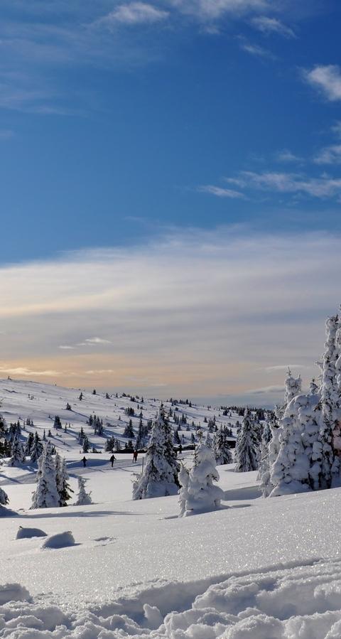Hafjell