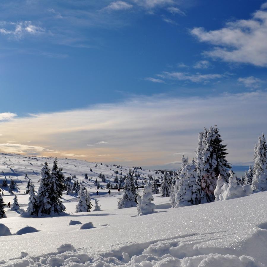 Skidsemester i Hafjell