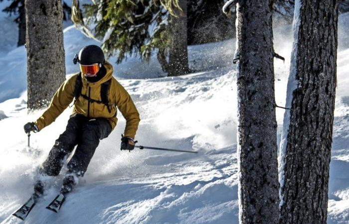 En skidåkare i gul jacka, svart hjälm och goggles navigerar snabbt genom snötäckta träd en solig vinterdag under ett spännande skiferie i Idre Fjäll, och sparkar upp puder när de åker ner.