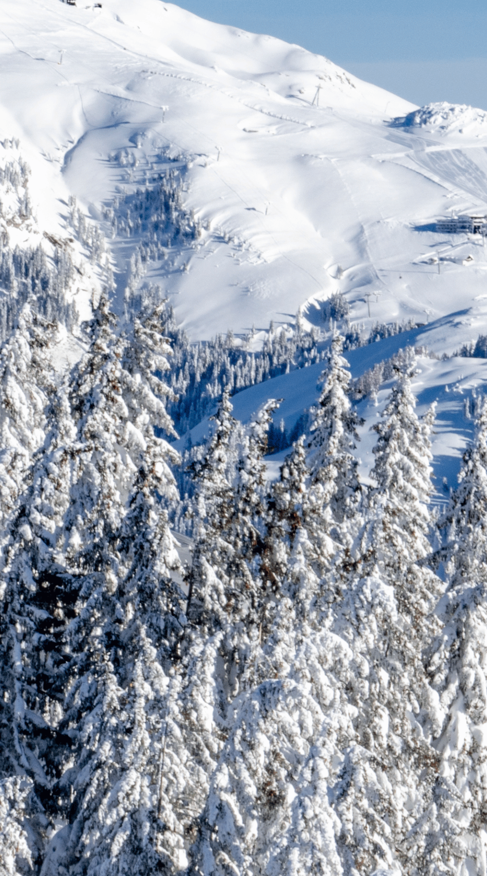 Skiferie i Kitzbühel
