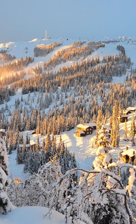 Kvitfjell
