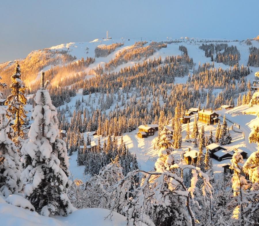 Skidsemester i Kvitfjell