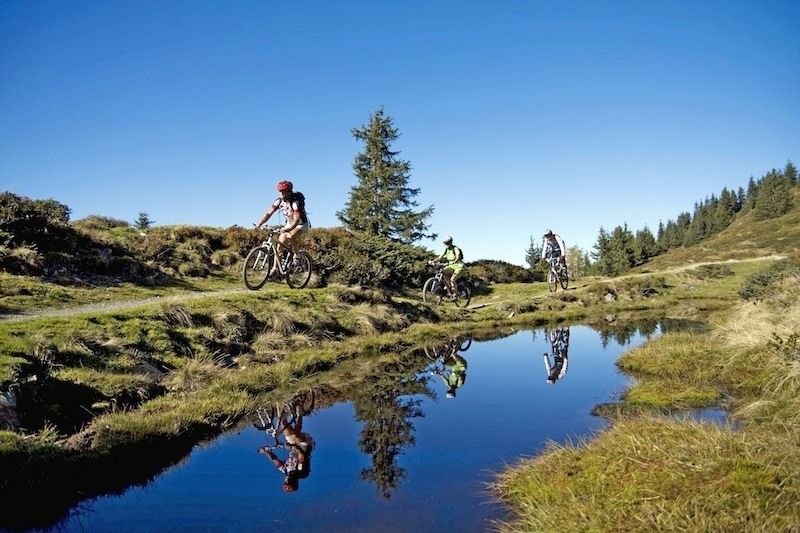 Cyklister nyder en naturskøn sti ved siden af en reflekterende dam i et græsklædt, kuperet område under deres sommerferie i Saalbach. Himlen er klar og blå, oversået med spredte træer. Det rolige vand afspejler landskabet og cyklisterne og forstærker den fredfyldte atmosfære i denne idylliske ferie.