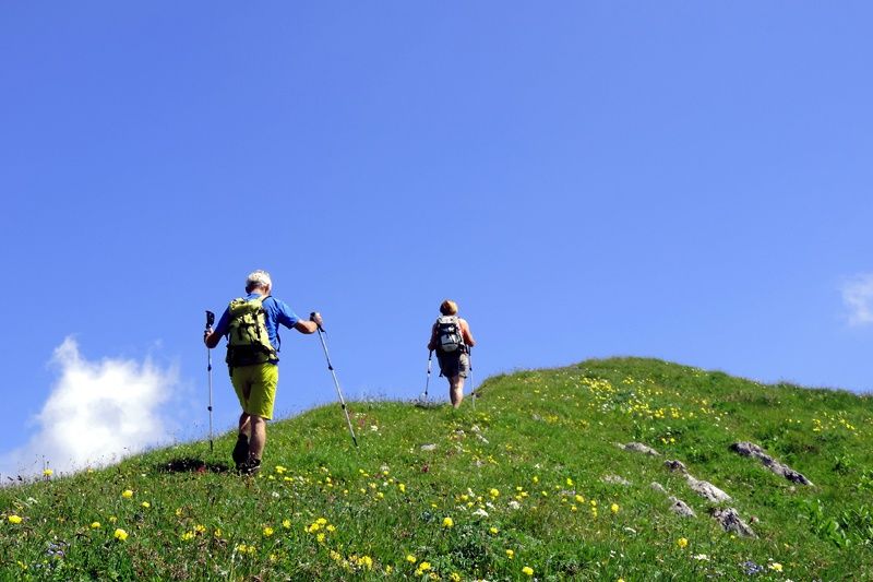 To vandrere med rygsække og trekkingstave bestiger en græsklædt bakke dækket af gule blomster under en klar blå himmel, og fanger essensen af en perfekt sommerferie i Saalbach.