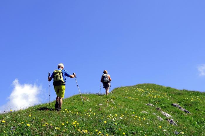 To vandrere med rygsække og trekkingstave bestiger en græsklædt bakke dækket af gule blomster under en klar blå himmel, og fanger essensen af en perfekt sommerferie i Saalbach.