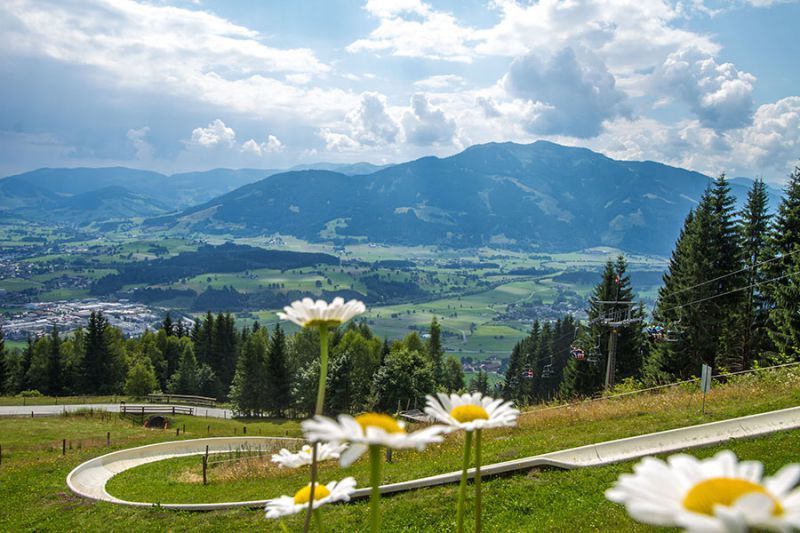 Et malerisk landskab i Sommerferie i Saalbach byder på en snoet alpin rutsjebane med livlige tusindfryd i forgrunden. Bølgende grønne bakker og en fjern bjergkæde under en delvist overskyet himmel skaber en fredfyldt atmosfære.
