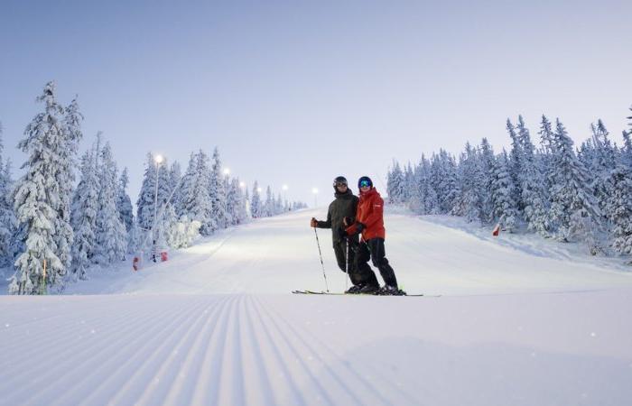 Två skidåkare står tillsammans i en nypreparerad snöig backe, omgiven av snötäckta träd under en klar himmel i gryning eller skymning - ett perfekt ögonblick på en skiferie i Sälen, lugnt och vintrigt.