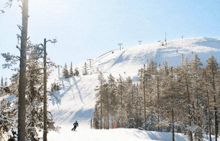 En skidåkare rör sig nedför en snöig backe omgiven av vintergröna träd under ett skiferie i Sälen, med ett solbelyst berg och skidliftar synliga i bakgrunden under en klarblå himmel.