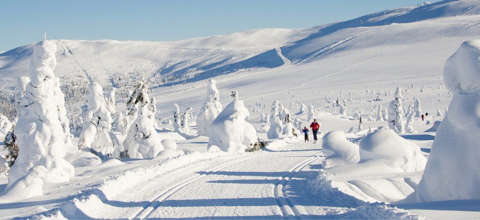 Ett snöigt landskap med snötäckta träd och kullar under en klarblå himmel. Några personer åker skidor längs ett preparerat spår och njuter av sin skiferie i Trysil medan de glider fram genom det fantastiska vinterlandskapet.
