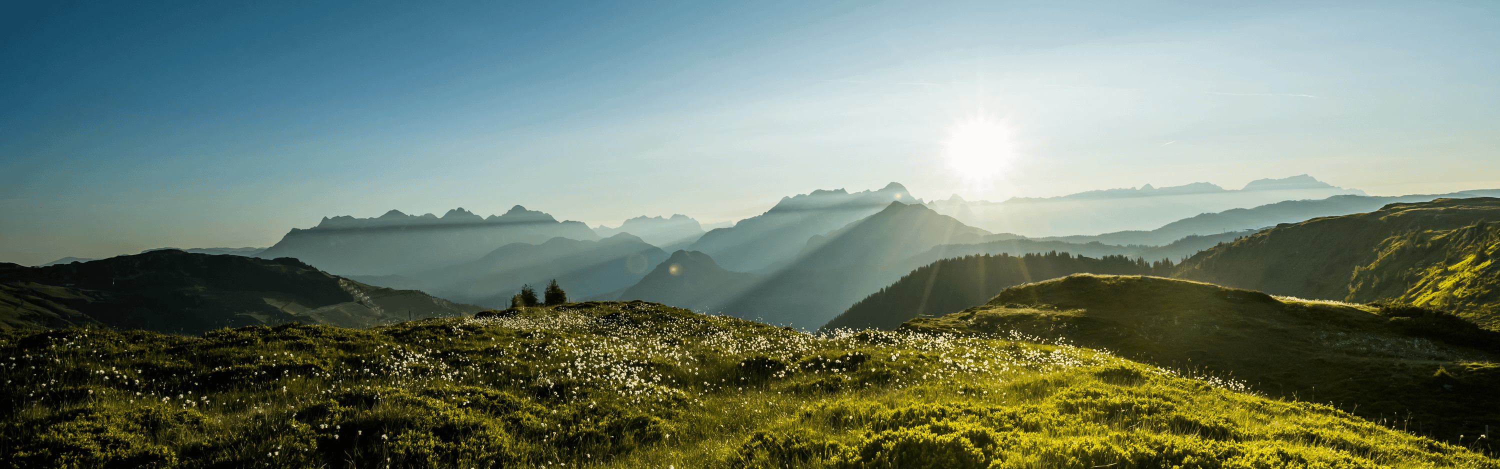 En panoramautsikt över en bergskedja vid solnedgången, med solen som kastar strålar genom topparna. Förgrunden visar en gräsbevuxen, blomprickad kulle, medan bergen är delvis höljda i dimma.