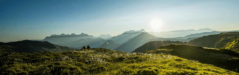 En panoramautsikt över en bergskedja vid solnedgången, med solen som kastar strålar genom topparna. Förgrunden visar en gräsbevuxen, blomprickad kulle, medan bergen är delvis höljda i dimma.