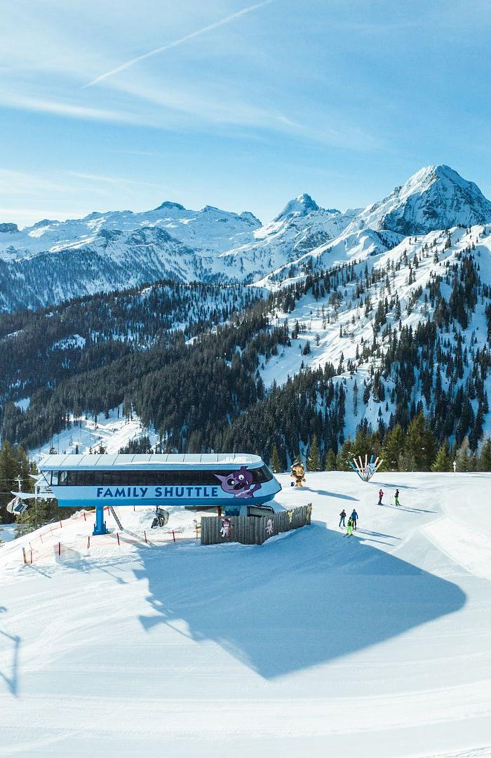 family-shuttle-shuttleberg-flachauwinkl-kleinarl