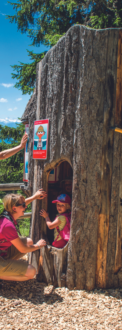 Sommerferie i Westendorf