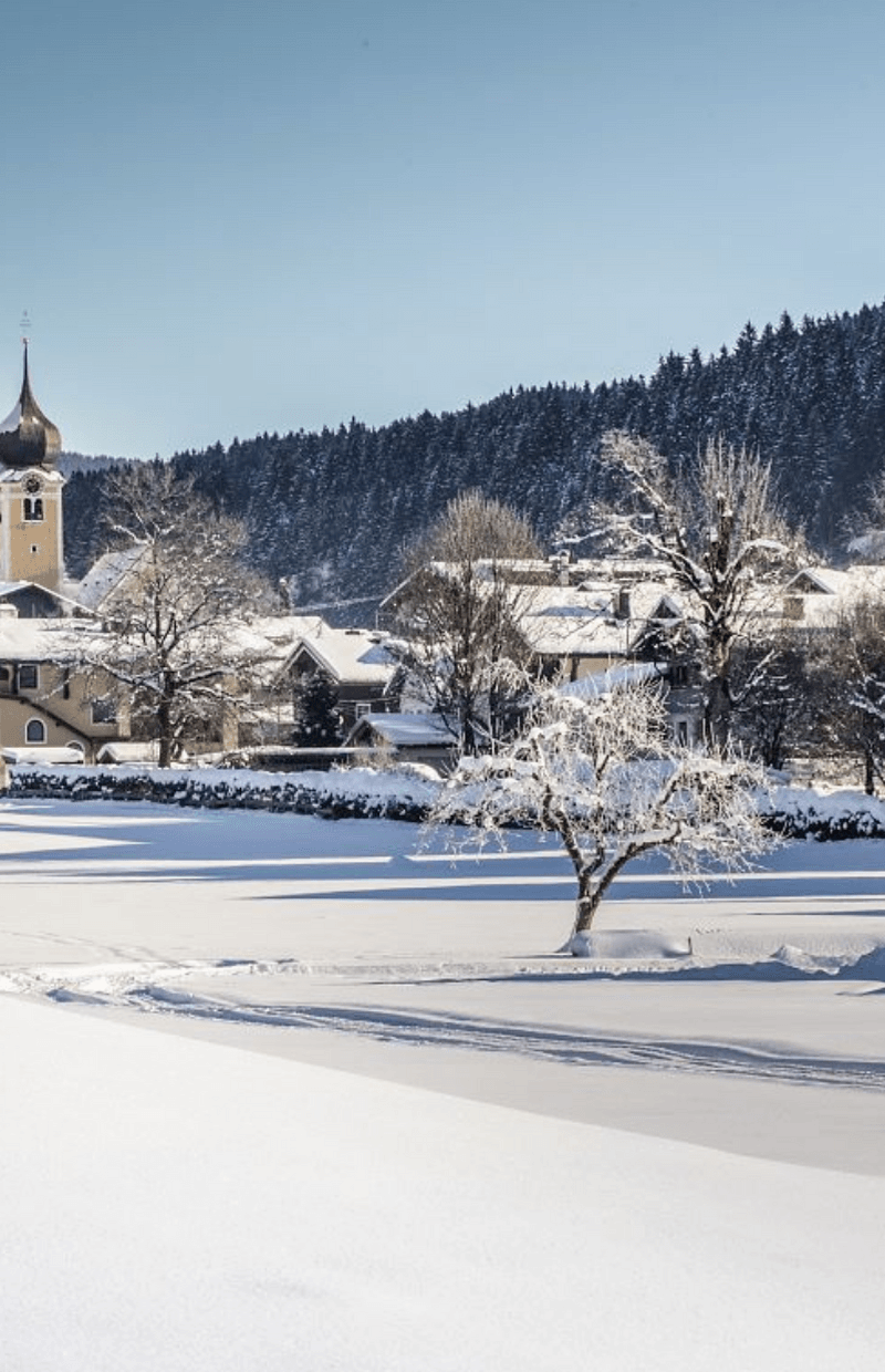 Skiferie i Westendorf