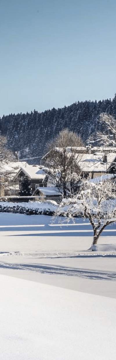 Skiferie i Westendorf