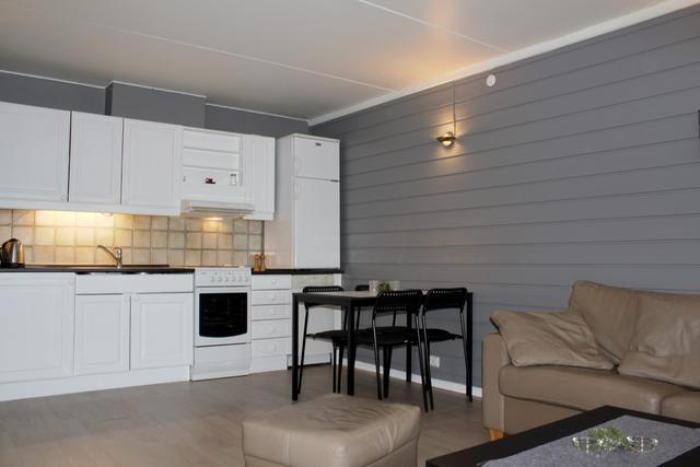 Storehorn Apartment – billede 4