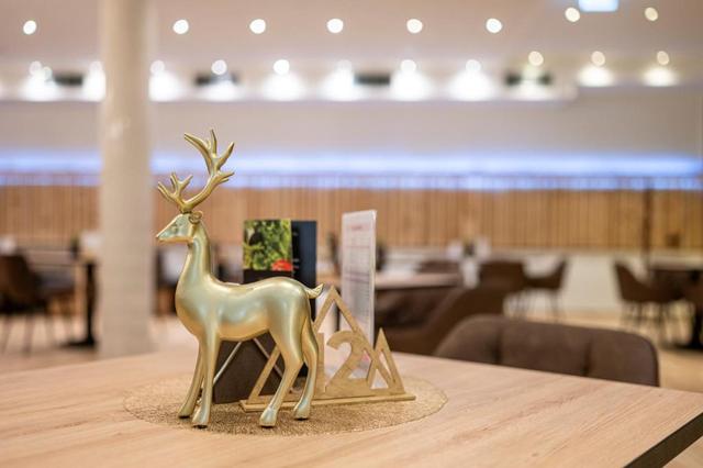 Aparthotel & Restaurant Goldhirsch – billede 6