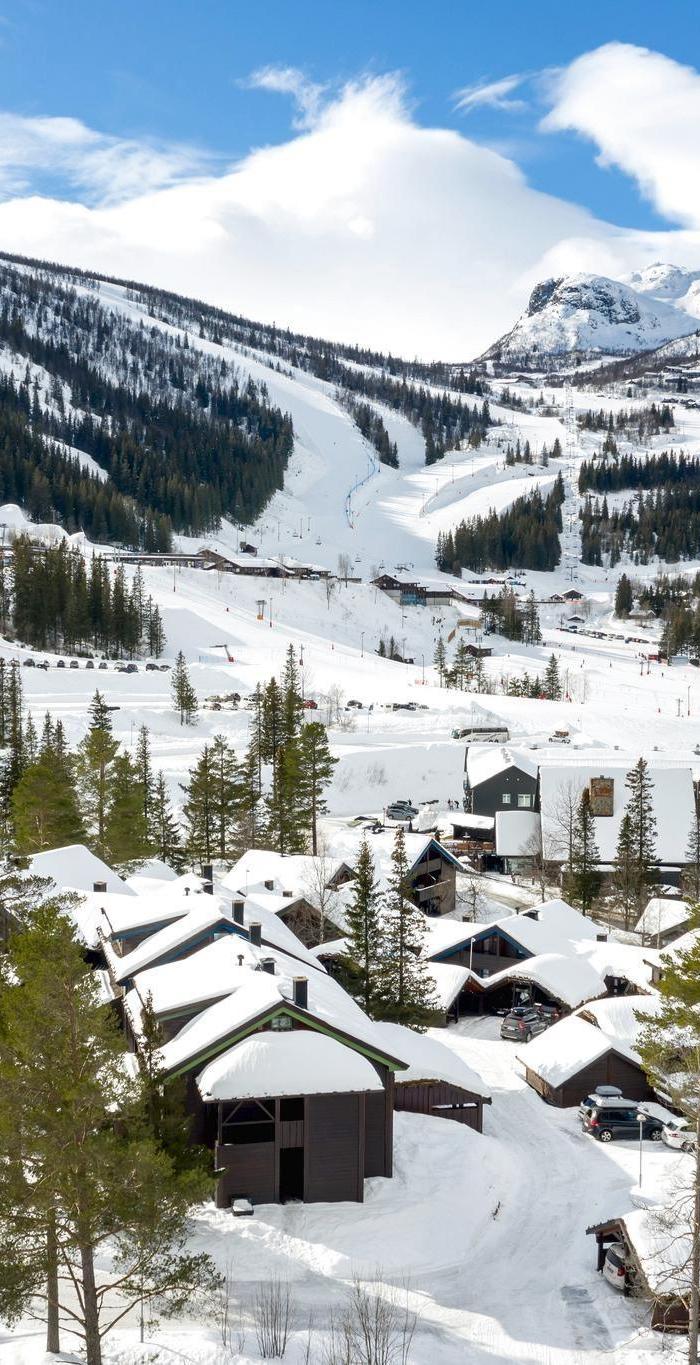 Alpin Apartment – Gruppe