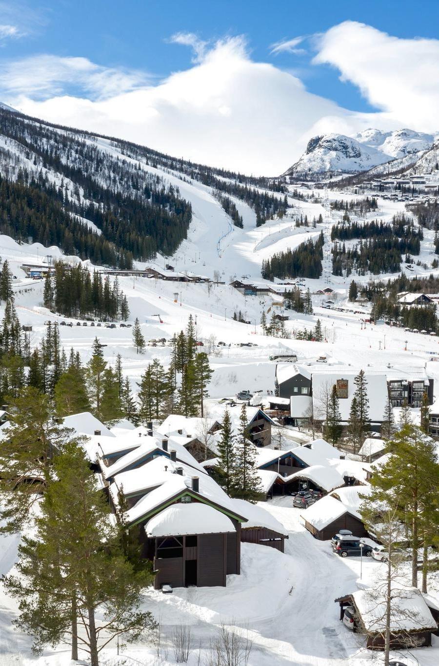 Alpin Apartment - Gruppe