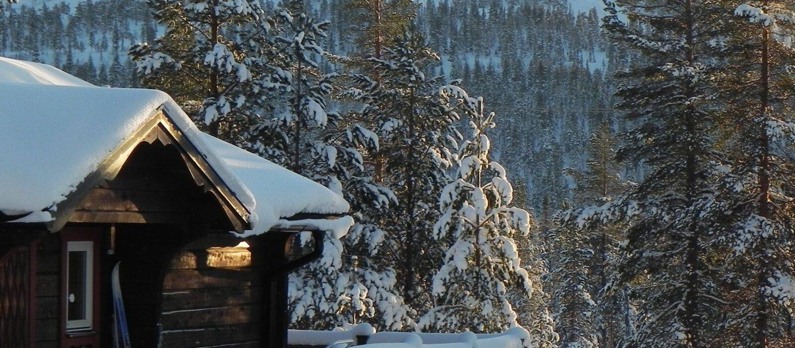 Tandåliden, Sälen