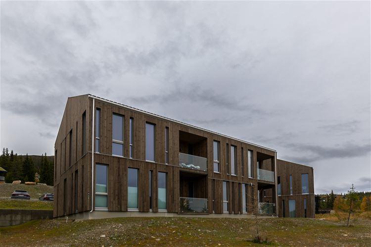 Segelstadeterlia 6F – Segelstadeterlia 6F