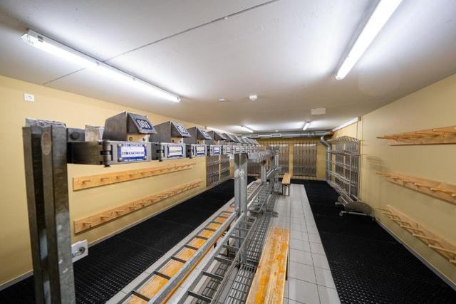 PREMIUM SKI IN/OUT - STEINADLER – billede 28